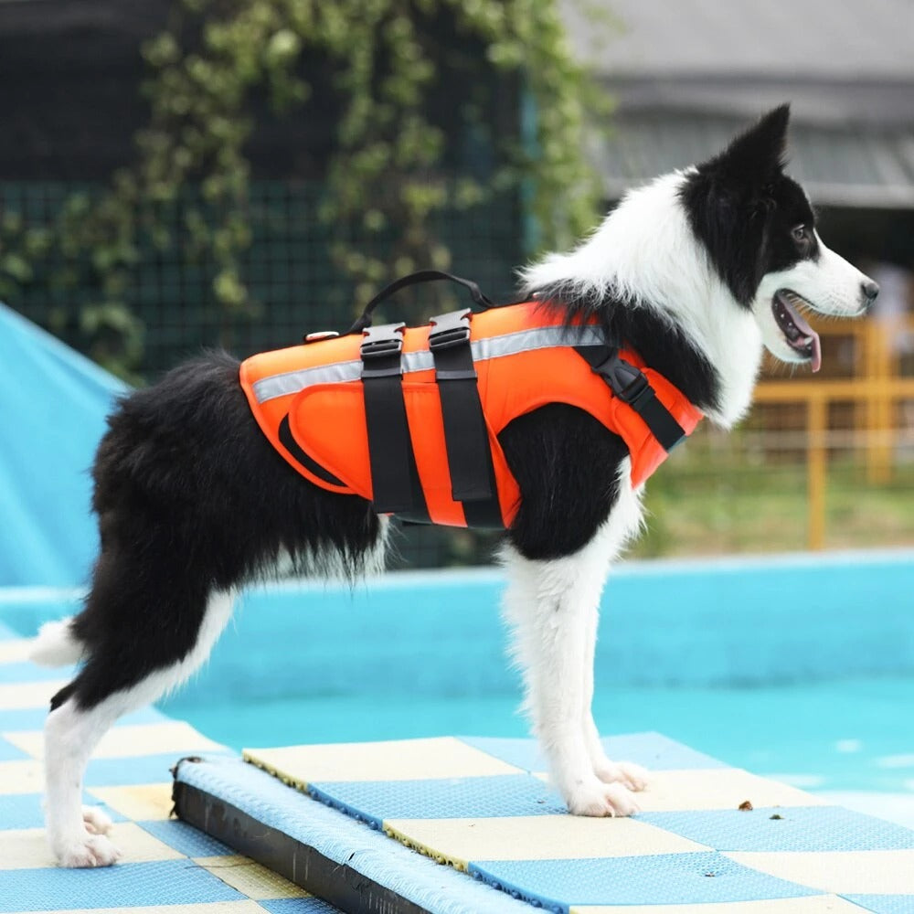 Hope Reflective Dog Life Jacket